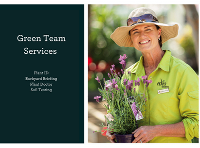 Green Team Services