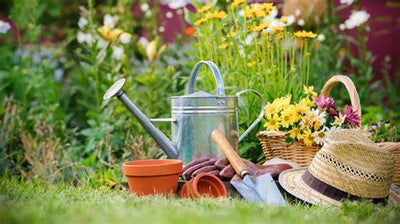 National Gardening Week 15th – 21st October
