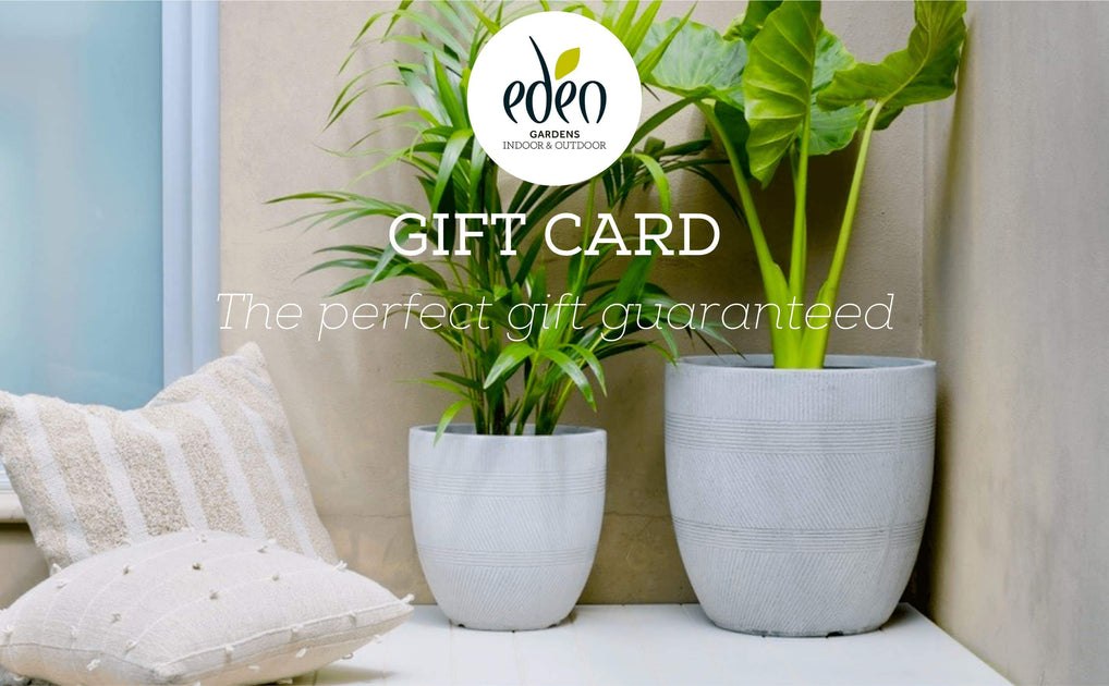 Eden Garden Gift Cards– Eden Gardens