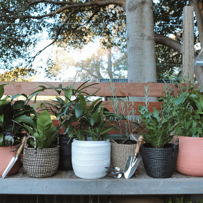 Gardening, A way to connect with the family