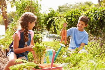 Promoting Plants to Kids and Creating Learning Landscapes