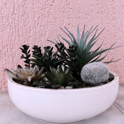 Succulent Bowls