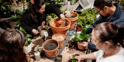 Winter Indoor Projects